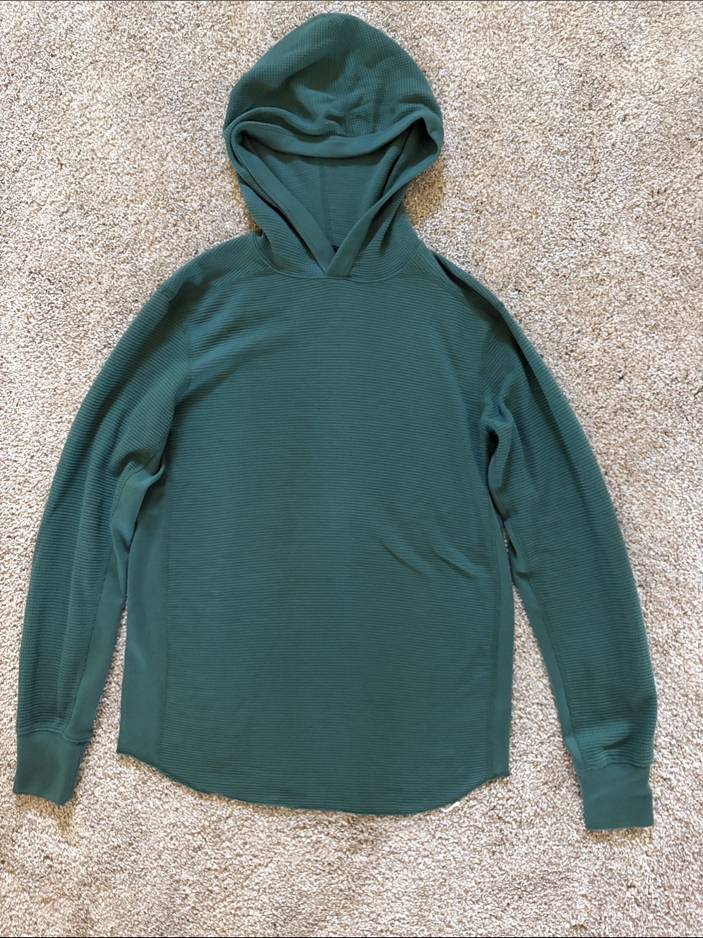 rag & bone dark green waffle knit Hooded Top